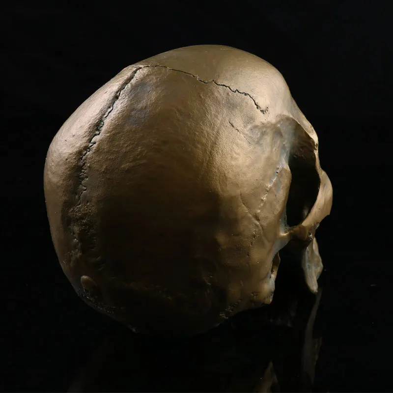 Медицинская модель черепа имитация смолы Череп Хэллоуин украшение для головы