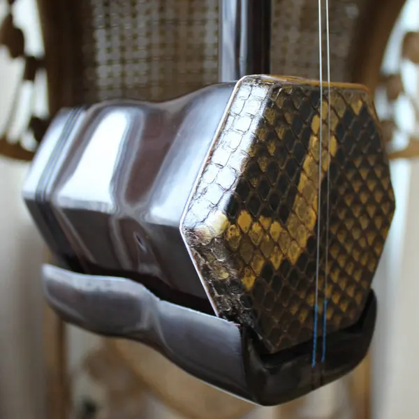 Китайский erhu оптовая продажа суперхороший питоновый кожа превосходный голос