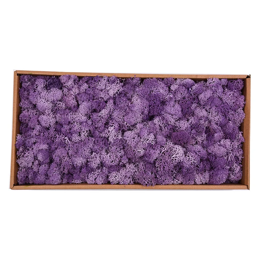 Light purple Красивые 500 г/кор. цветы из мха, долго сохраняющиеся сушеные цветы для рукоделия, домашний декор для свадебной вечеринки XH8Z JA11 - Цвет: Light purple
