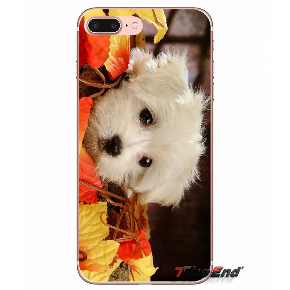 Для Samsung Galaxy J1 J2 J3 J5 J7 A3 A5 A7 2015 2016 2017 J530 J730 Fundas Coque I Love My Maltese dog puppies силиконовый чехол |