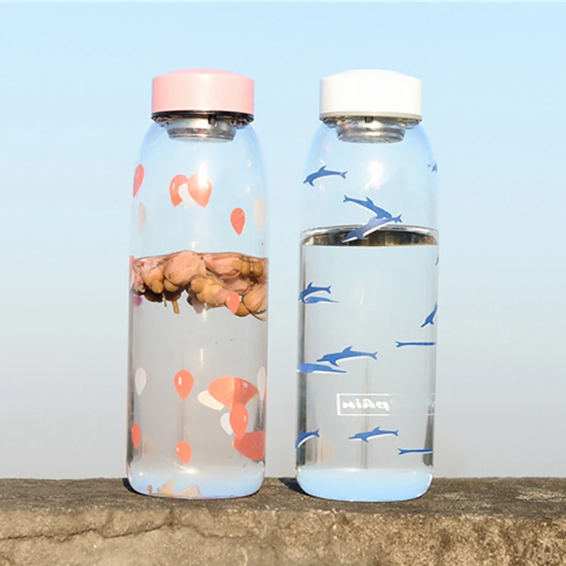 800 мл большая емкость стеклянные бутылки для воды с чаем Infuse портативные сумками