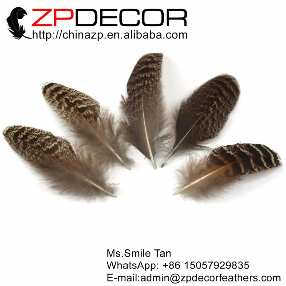 

Zpdecoration натуральные 10-15 см (4-6 ") 50 шт./лот забардованные пестрые мини павлиньи перья с крыльев перья, перо для декора DIY и костюмов