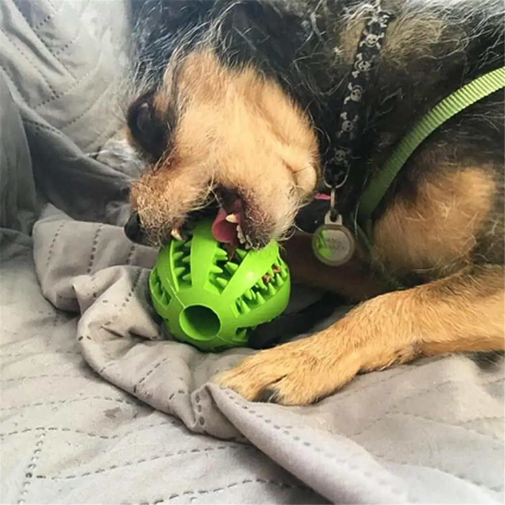 Toys for Dogs Rubber Dog Ball For Puppy Funny Pet Puppies Large Tooth Cleaning Snack Toy Products | Дом и сад