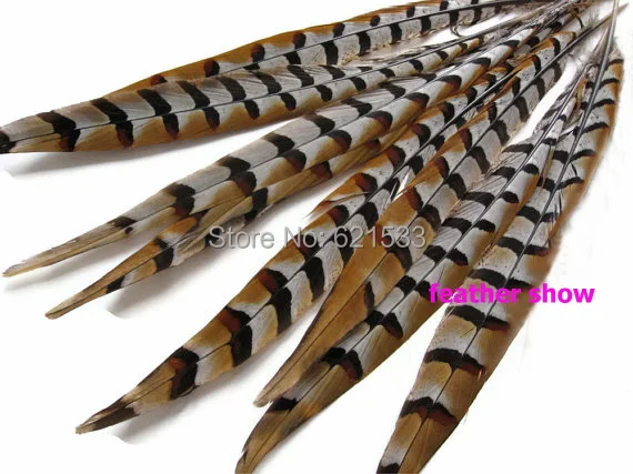

50Pcs/lot!12-14inches 30-35cm long Pheasant Tail Feathers,NATURAL Reeves Venery Pheasant Tail Feathers