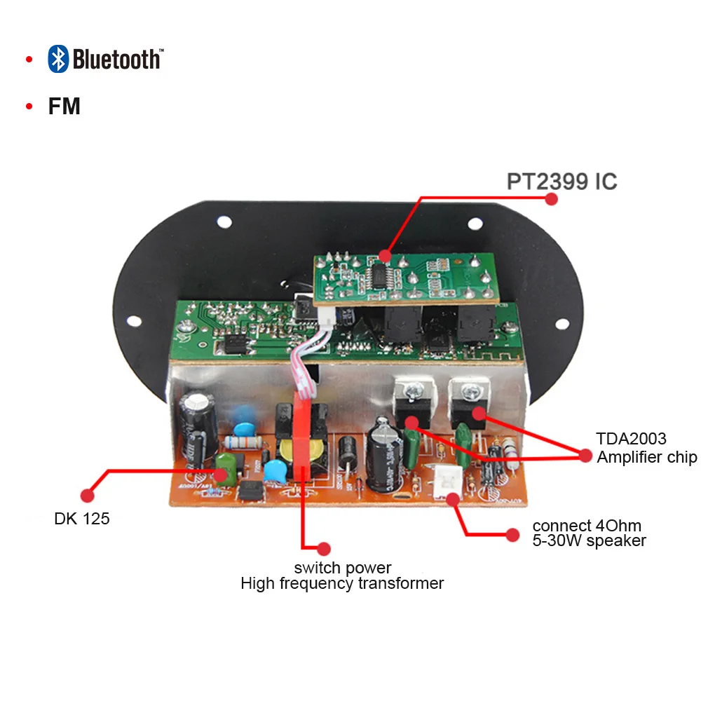 AIYIMA Bluetooth Сабвуфер Автомобильный домашний усилитель мощности плата Amplificador 12V220V с двойным микрофоном DIY для домашнего кинотеатра