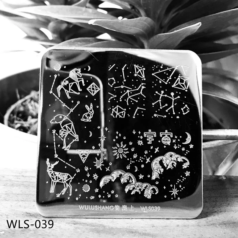 wls39 6*6 см квадратные пластины для штамповки ногтей Небесный кружевной цветок животный узор дизайн ногтей штамп штамповка шаблон изображения пластины трафареты - Цвет: wls39