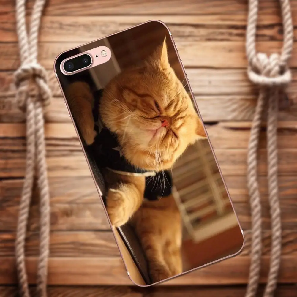 Vvcqod сонный котенка для Apple IPhone X 4 4S 5 5C 5S SE 6 S 7 8 Plus Moto G G2 G3 мягкий из термопластика