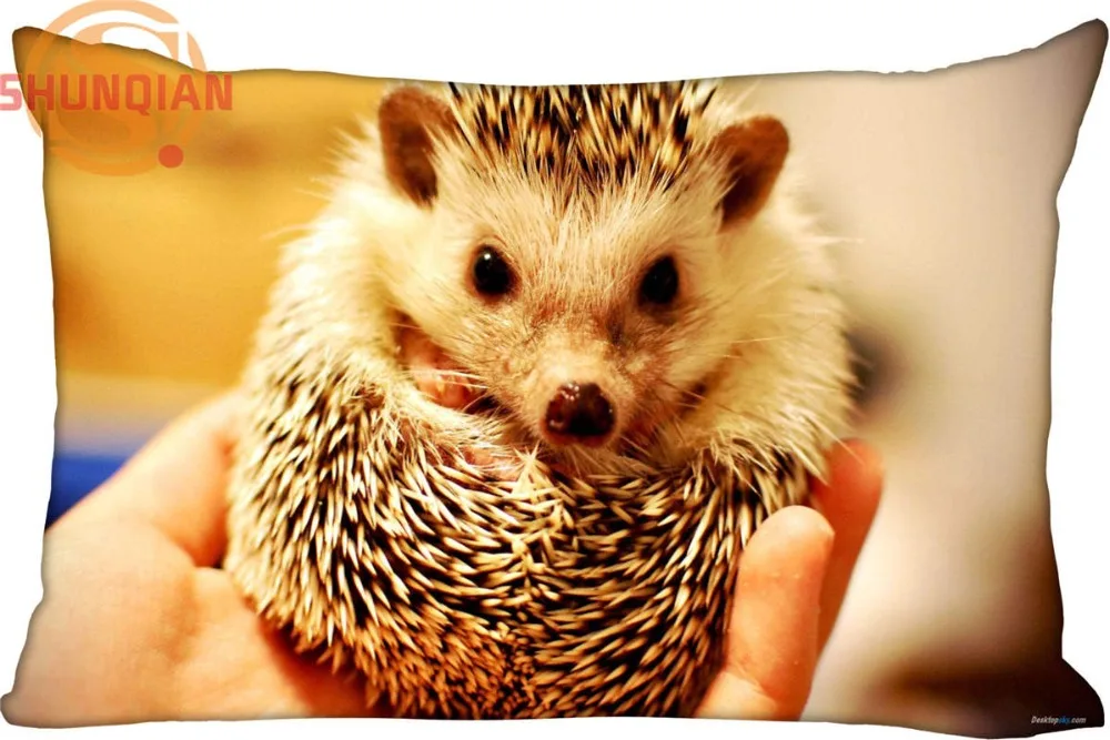 

New Custom Hedgehog Pillowcase Zippered Rectangle Pillow Cover Cases Size 45X35cm,40x60cm,45X75cm,50X75cm(Two sides)