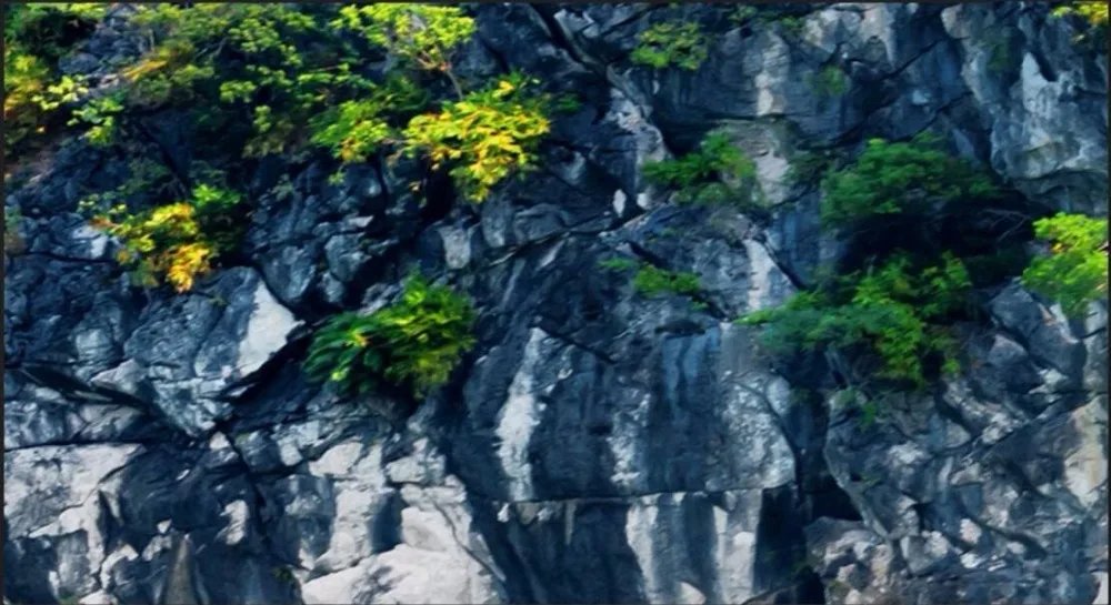 3d обои на заказ нетканые и роспись шелке фото длинная нарисованная hd guilin