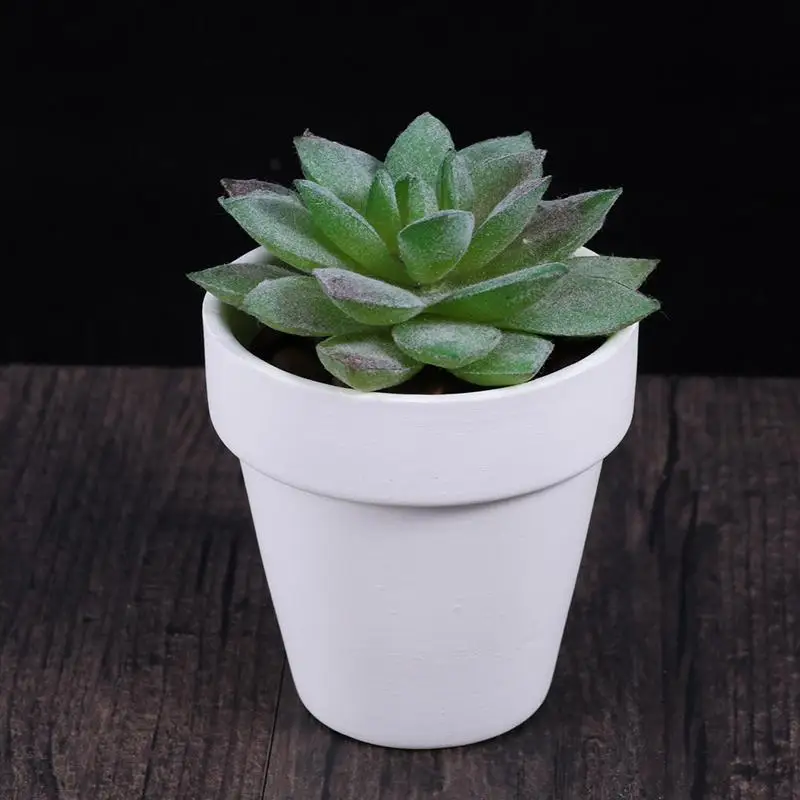 

20pcs Small White Flower Pot Plant Pot Clay Ceramic Pottery Planter Cactus Flower Pots Succulent Nursery Pots With Hole (White)