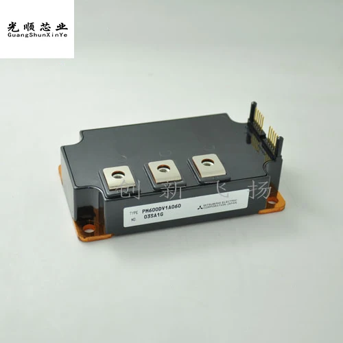 

PM600DV1A060