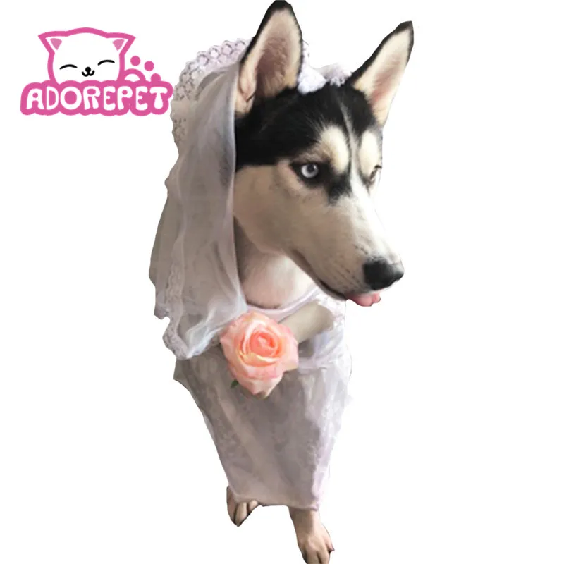 Свадебное платье-смокинг для собаки Фата фото Забавный костюм невесты со стойкой