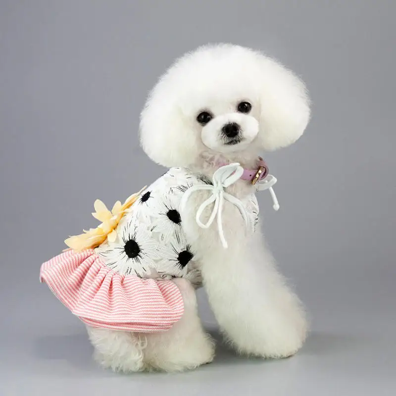 Одежда для домашних животных одежда на весну и лето НОВАЯ тонкая Полосатая юбка