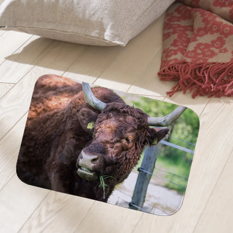 40x60cm floor mat hallway doormat suede Welcome entrance door mat anti-slip water Water absorption carpet Koala horse cow print