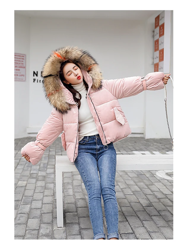 Хлопковая Парка женская короткая заметка 2018 толстый теплый Хлопковый жакет