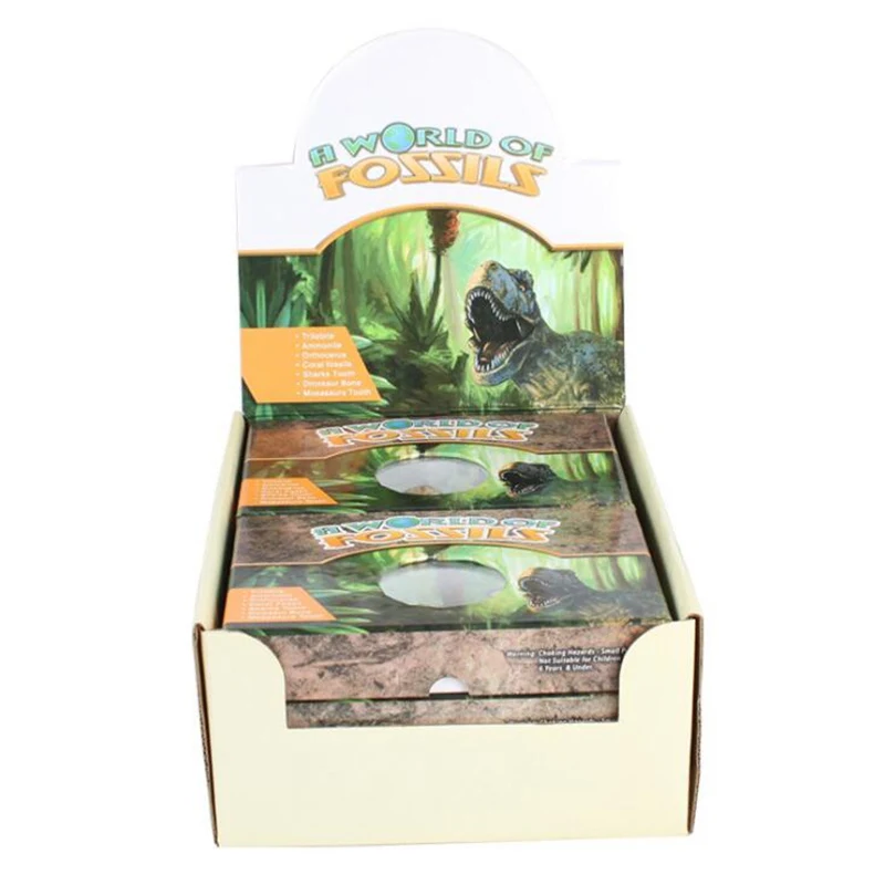 

fossil Natural Mineral Shark teeth specimen stone Rough real Marine life Gemstones Home Decor Collection Gift for Fossil Fans