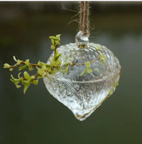 Горячая Распродажа подвесные стеклянные Гидропонные цветы ваза круглые шарики