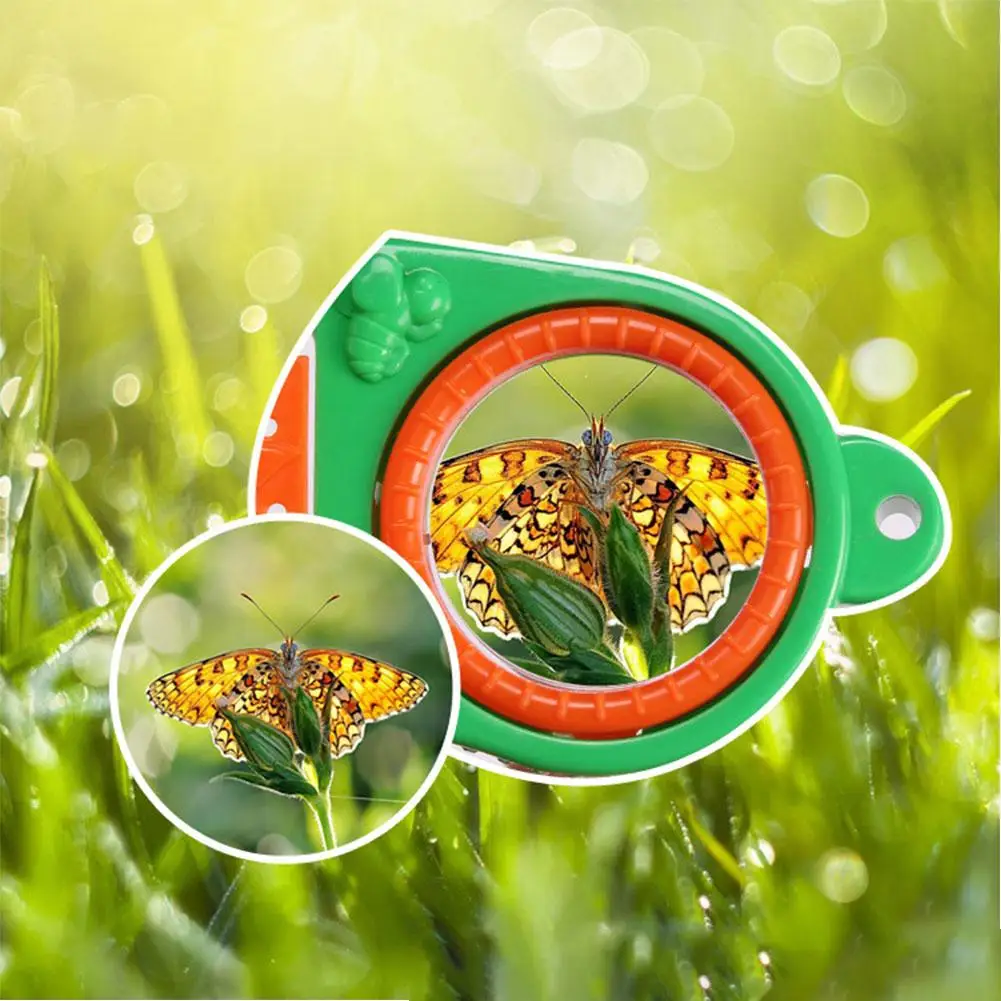 Early Childhood Education Experimental Research Plastic Tool Box Insect Feeding Observation Box Net Breeding Box Puzzle Toy Set