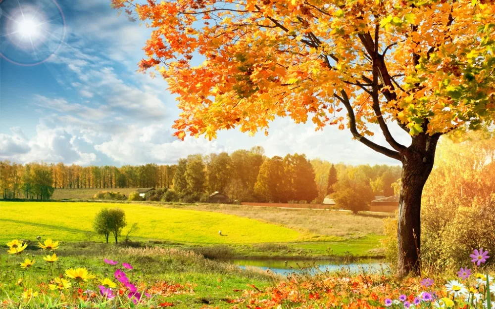 

3d Curtains Field scenery European style Living Room or Hotel Blackout Curtains Decorative Window Curtains