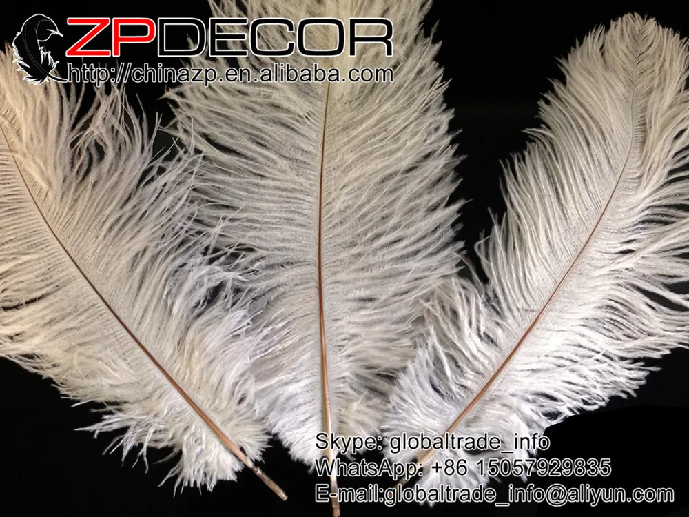 ZPDECOR 100 шт./лот 15 20 см (6 8 дюймов) Premuim качественные гладкие маленькие белые