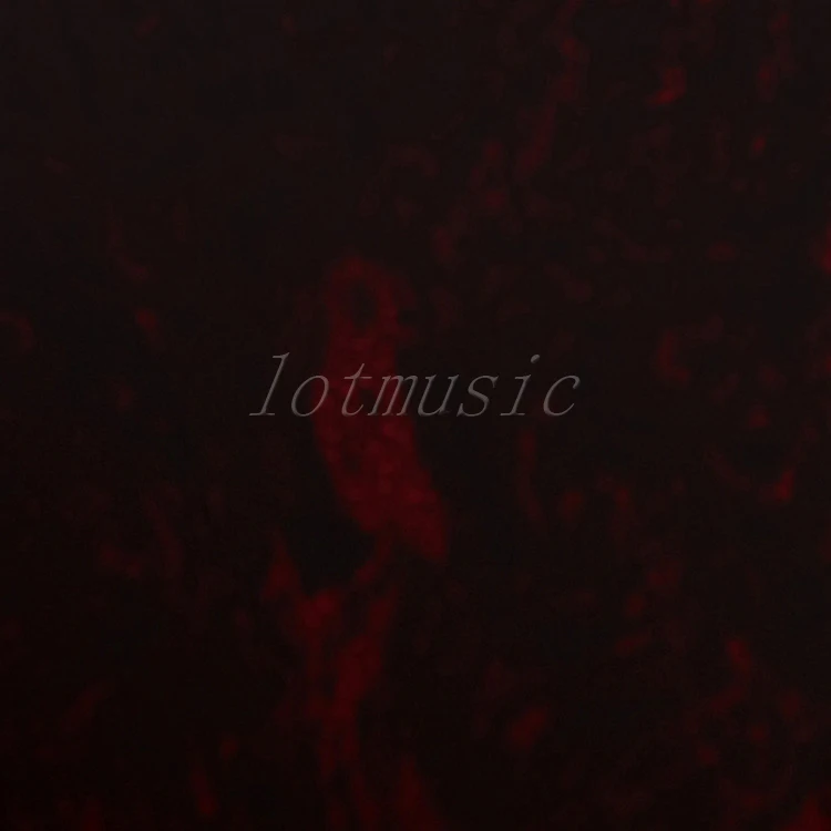 5 шт. пвх красный народная акустическая гитара накладкой для крыла страт замена |