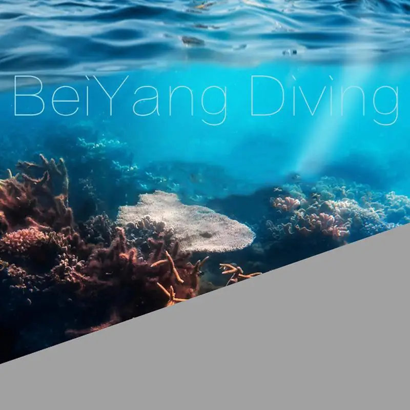 Оборудование для подводного плавания Регулируемый Explorer подводное погружение 2-й этап регулятор кальян Осьминог с мундштуком