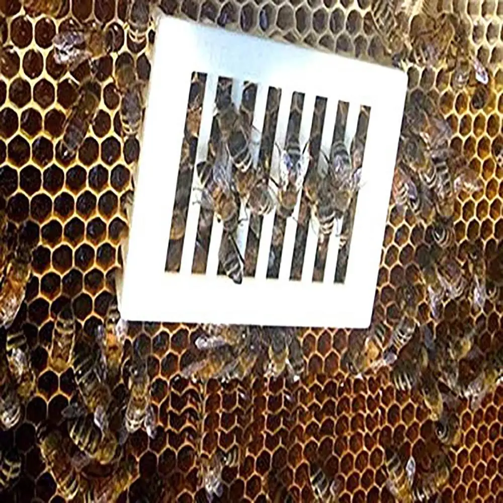 10 шт. инструменты для пчеловодства Желтая пластиковая клетка защитная крышка