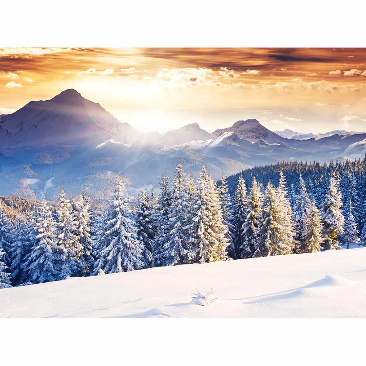 Фон для фотосъемки Allenjoy Лес Снег Солнечная зима белый красивый фон фотостудии