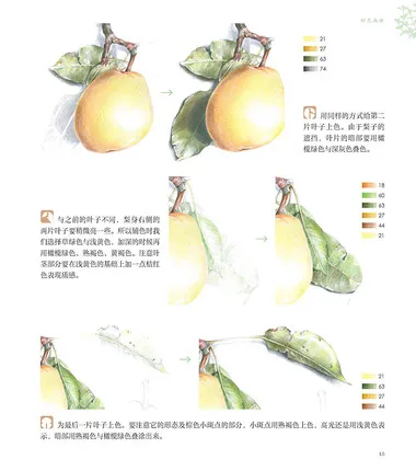 Альбом для скетчей цветных карандашей природных растений |