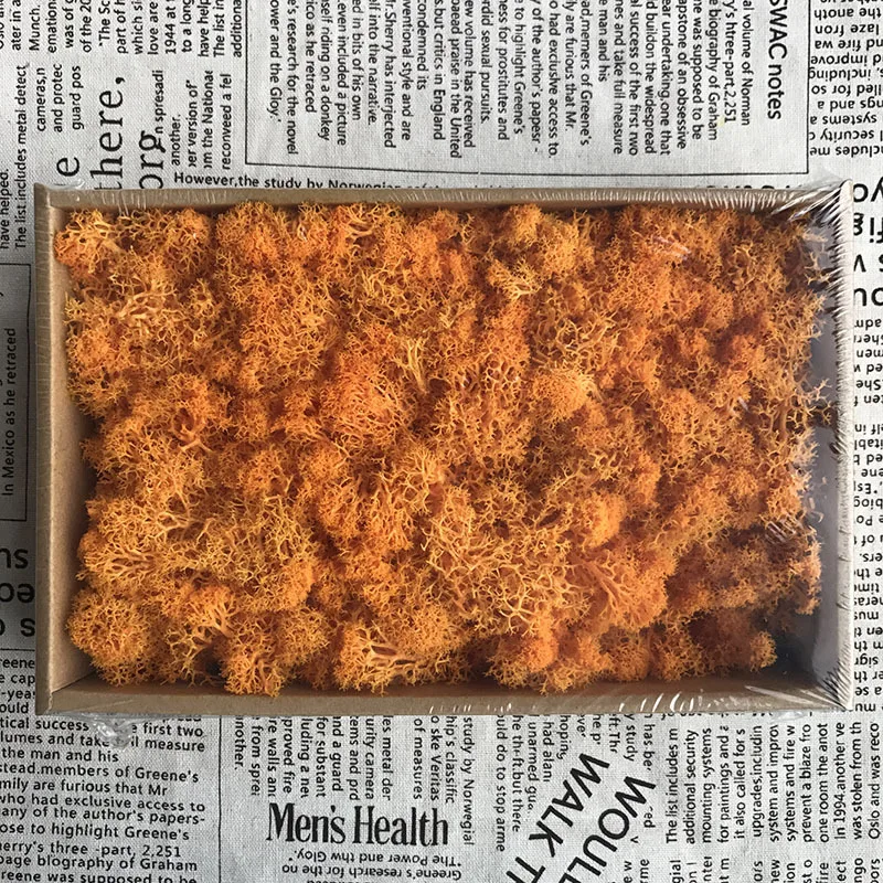 200 г DIY украшения Рождественские подарки долговечные сохраненные цветы мох