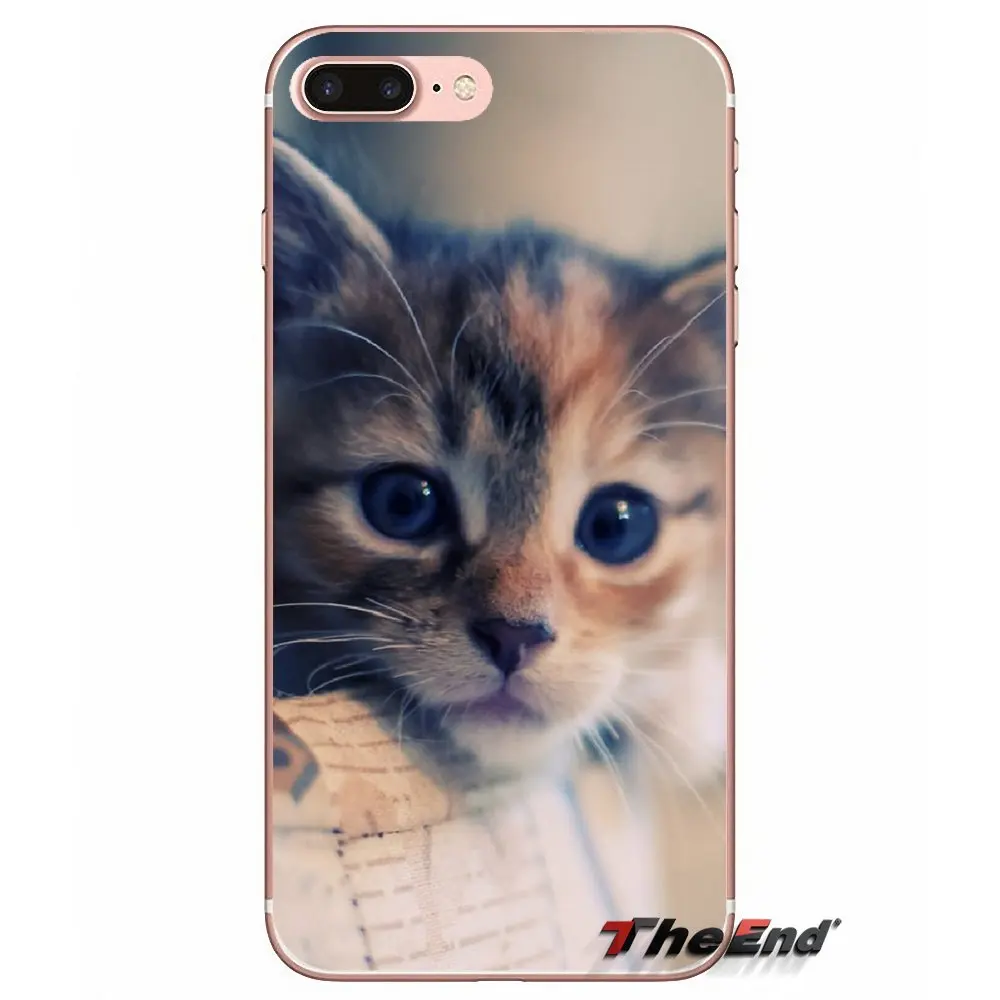 Забавные аксессуары для кошек чехлы телефонов Чехлы iPhone X 4 4S 5 5S 5C SE 6 6S 7 8 Plus Samsung