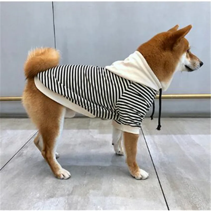 Bigeyedog весенне осенняя одежда для собак Чихуахуа Пудель Йоркширский терьер Бишон