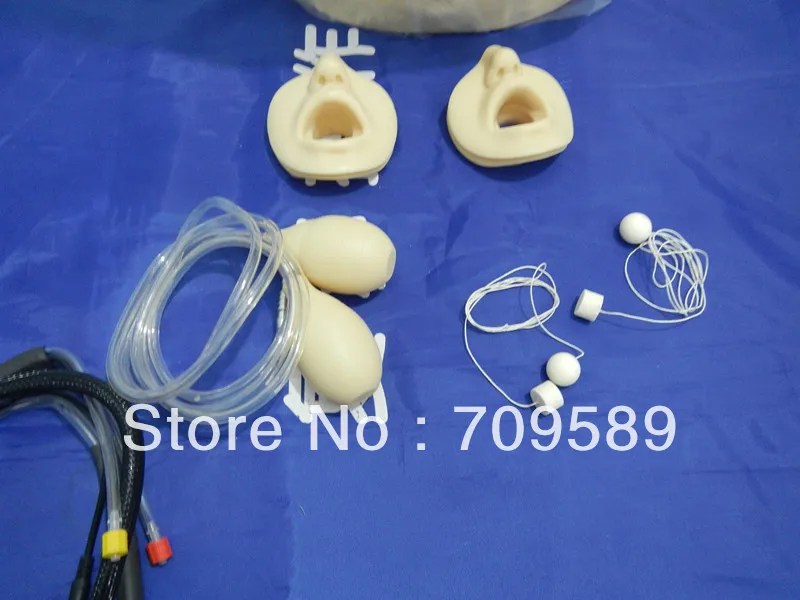 Модель обструкции для взрослых по стандарту ISO манекен проведения духов и