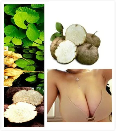 Pueraria Mirifica для естественной груди увеличение бюста Бесплатная доставка | Красота