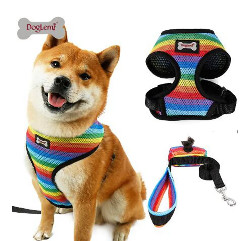 

Breathable Rainbow Mesh Dog Pet Harness With Lead Jogging Leash Harness Set