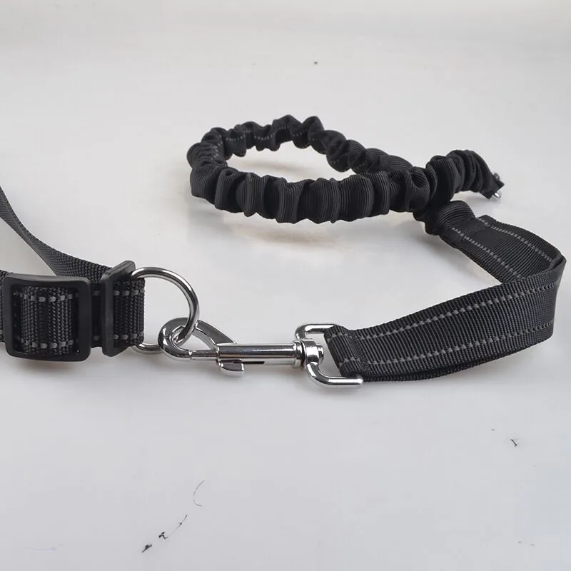 E35 поводок для собак утренней пробежки | Дом и сад