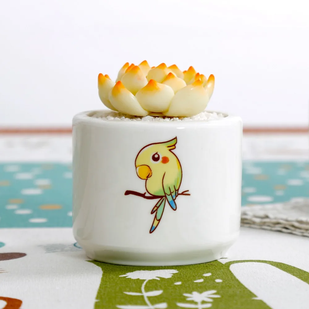 Мини кактус суккулент керамический круглый Милый Попугай белый цветочный горшок