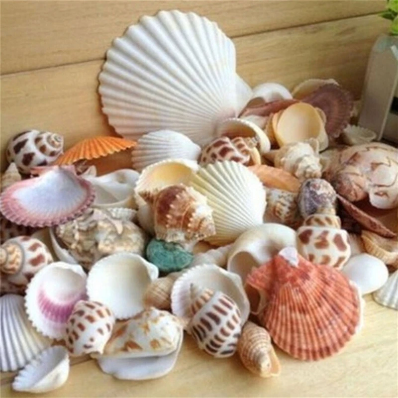 100 г Украшения для пляжа украшения морские ракушки раковины DIY Caft горячие