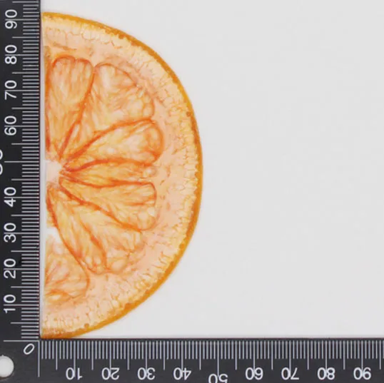 Grapefruit 10 шт прессованный высушенный фруктовый ломтик гербарий из растений для ювелирных изделий открытка с пригласительным билетом чехол для телефона Закладка рукоделие Изготовление DIY - Цвет: Grapefruit