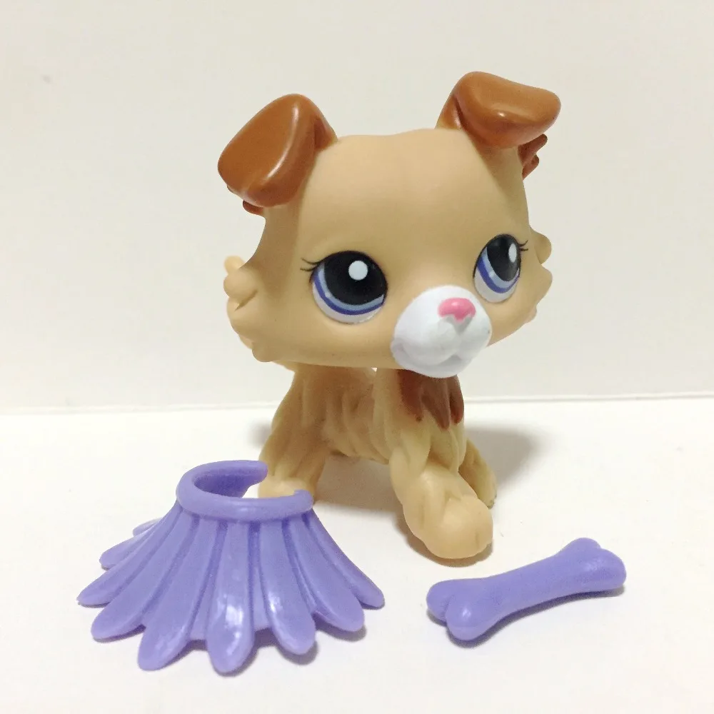 Pet Shop животное кукла Фигурка детская игрушка грил колли собака без магнита DWA374B |