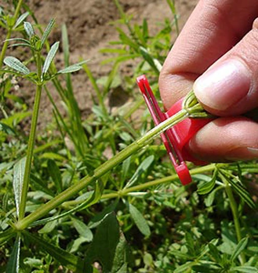 3 шт./компл. T F V нож для сбора фруктов устройство винограда T-Ring резак сада