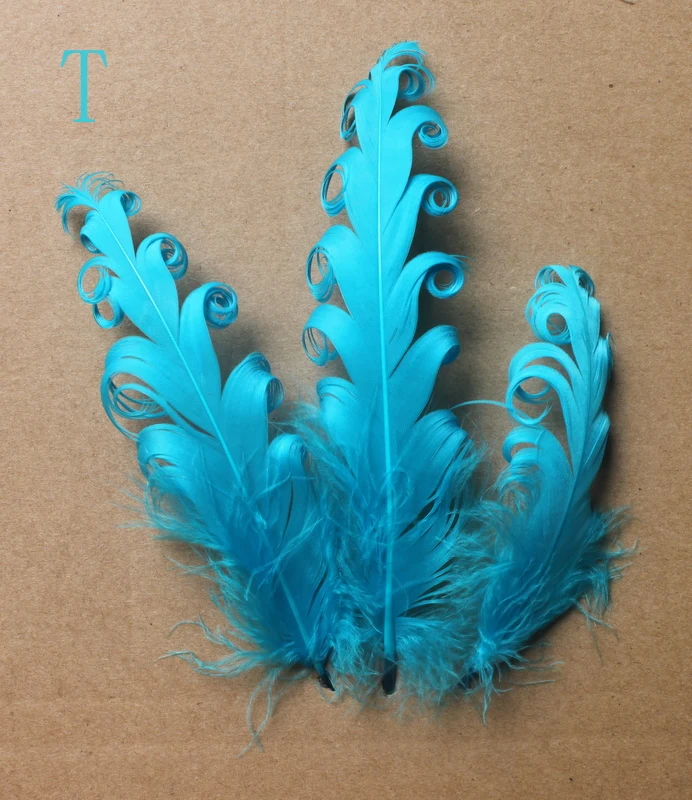 

30pcs/lot 12-18 cm Goose Frizzle Feather By Hand With High Quality #26 Color