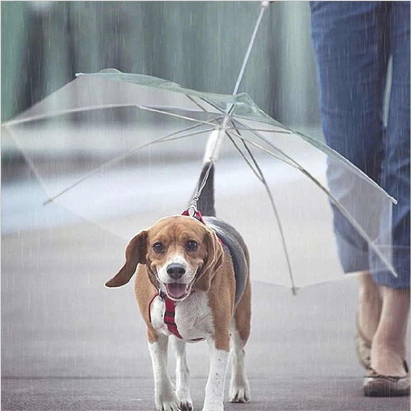 NZBZ. New Style Hot Selling Portable Plastics Transparent Pet Umbrella Built-in Leash Puppy Cat Raincoat |