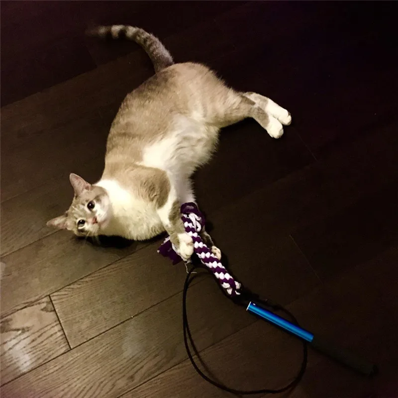 Выдвижная палка для игры игрушка Pet тренировочный брусок игрушки помещений