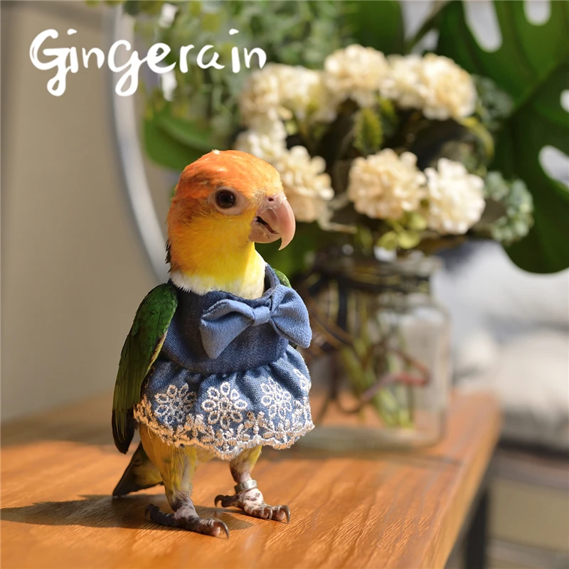 Gingerain одежда с птицами, одежда с попугаями, кружевная пачка, оригинальная ручная работа, одежда с птицами, кружевная пачка