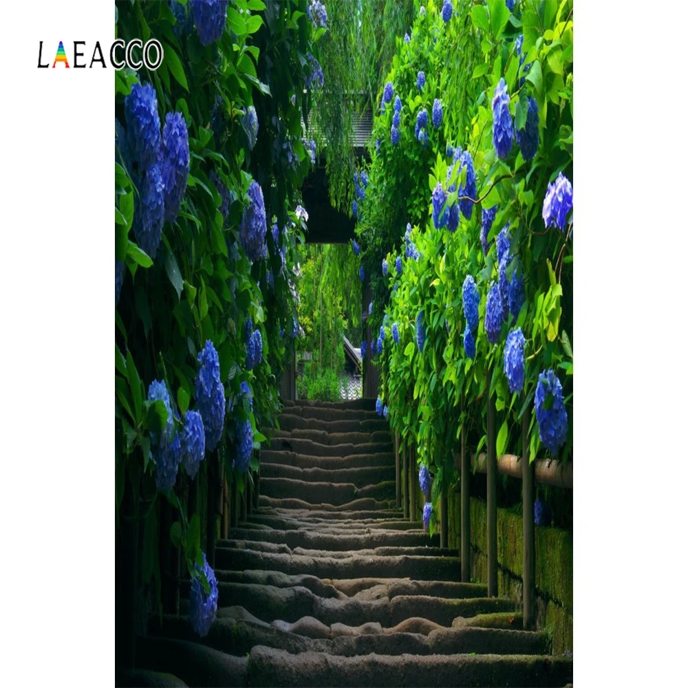 Laeacco лес жонглирование горные лестницы решетка Весна фотографии фоны