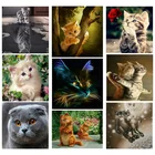 Алмазная 5d картина сделай сам, вышивка крестиком, Круглая Мозаика, алмазная вышивка с кошками, тиграми, картины узоры для вышивки Стразы Jk