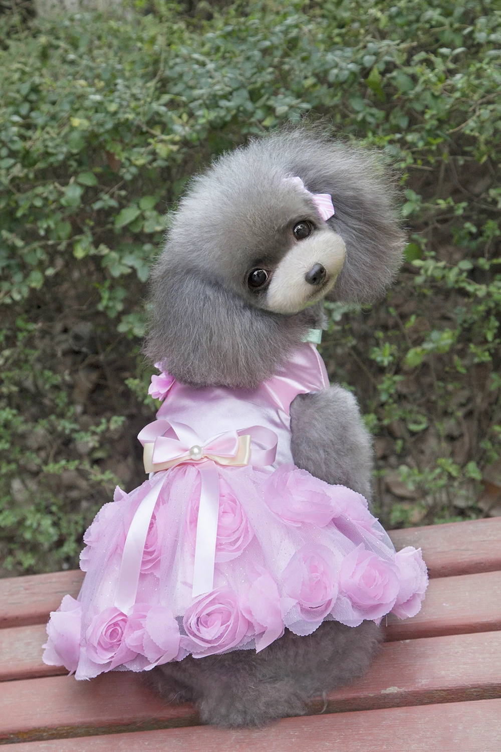 Новое поступление праздвечерние чный дизайн розы платье принцессы для домашних