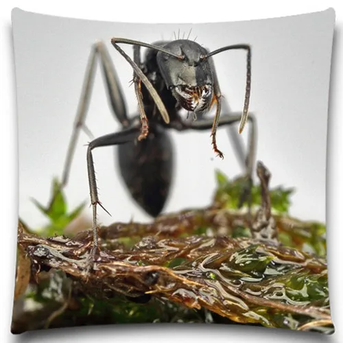 Большая черная декоративная подушка для фотографий 16 18 20 дюймов|throw pillows blue|throw for