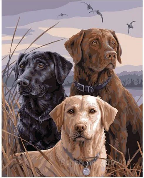 Diamond Embroidery Three Dog Looking Around In The Grass Diy Painting Cross Stitch Full Square Mosaic Decorative | Дом и сад